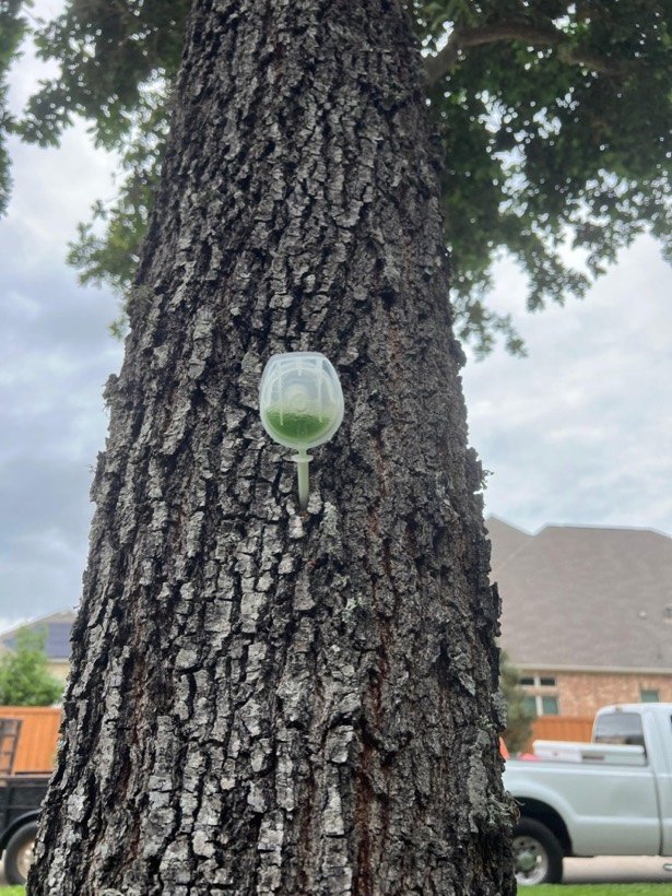 Trunk injection on a customer tree