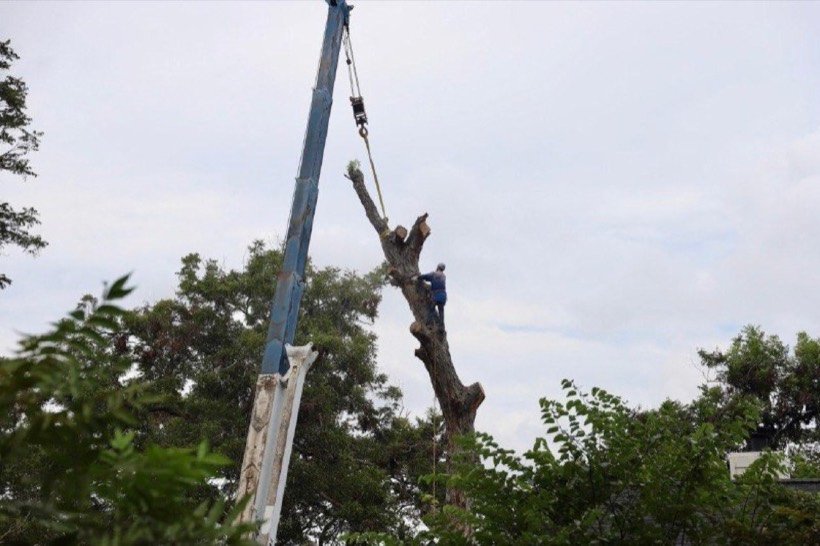 Crane-assisted removal in Brookshire, Texas