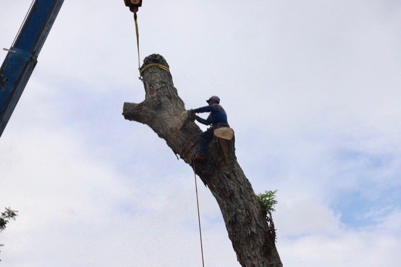 Crane-assisted removal in Brookshire