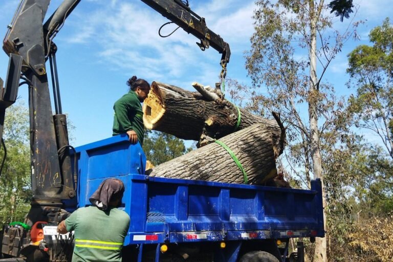Large tree sections lifted into a truck by crane