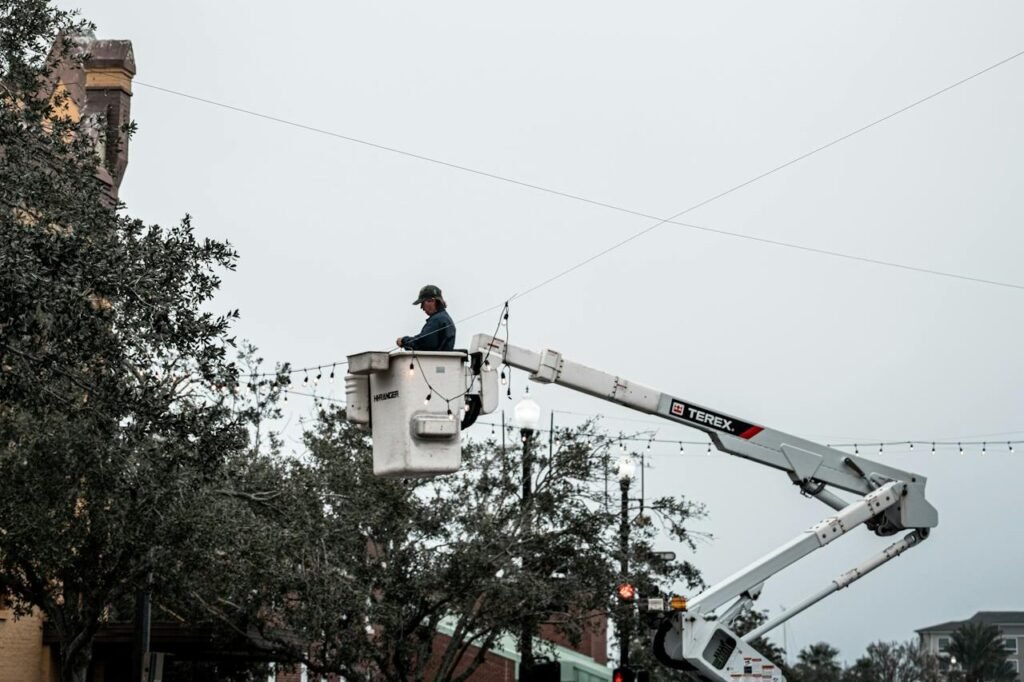 Crane hook used for crane-assisted tree removal