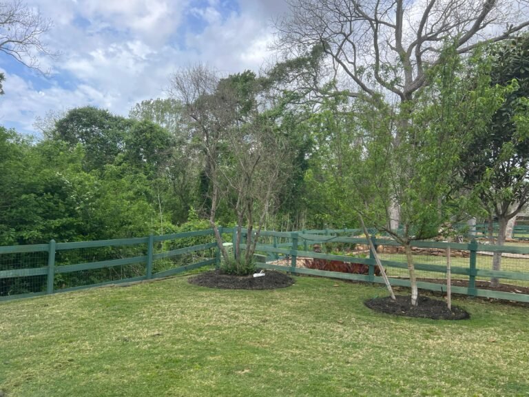Clean, level yard with newly planted trees