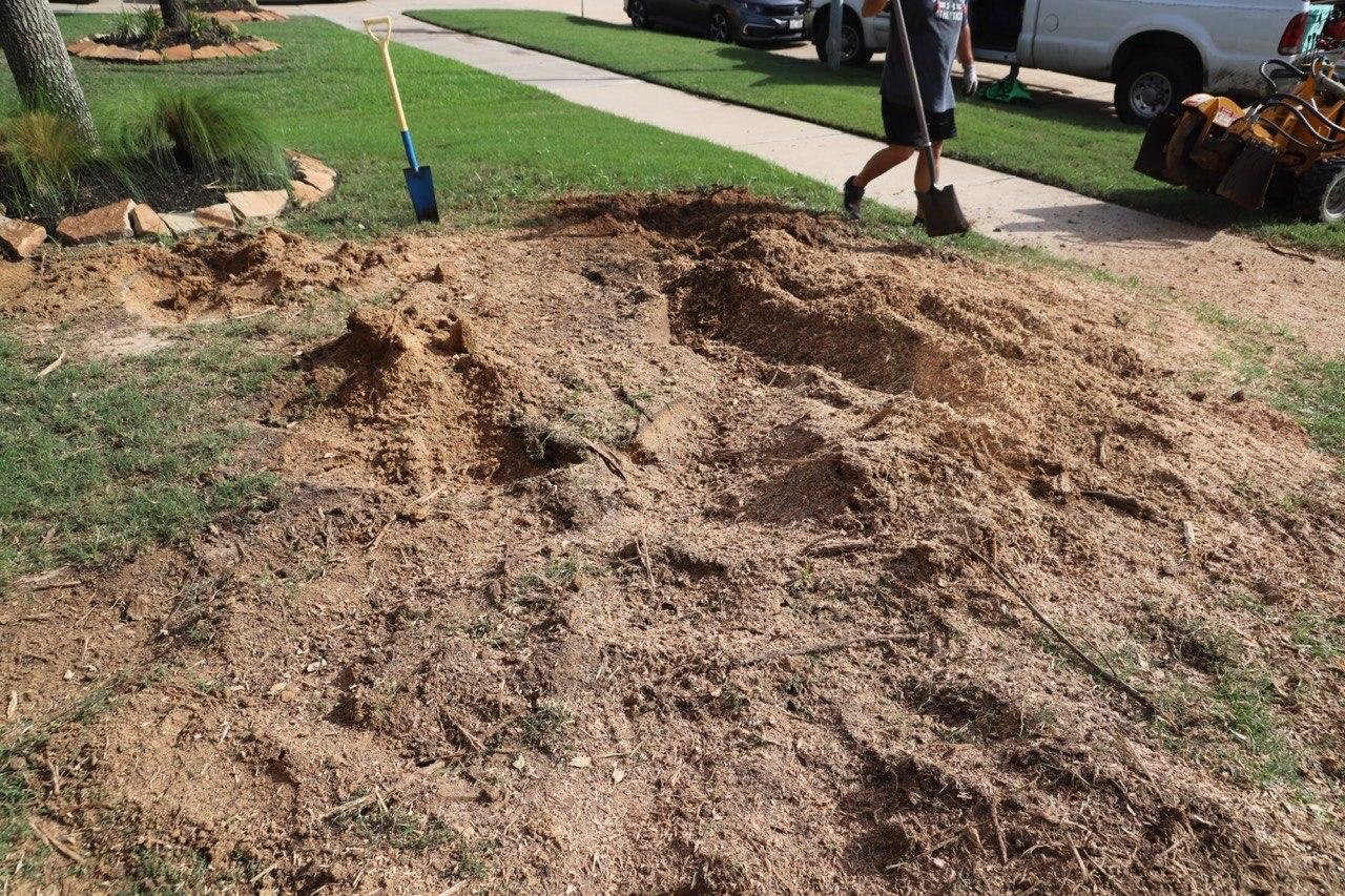 Freshly ground stump in a front yard in Fulshear, Texas